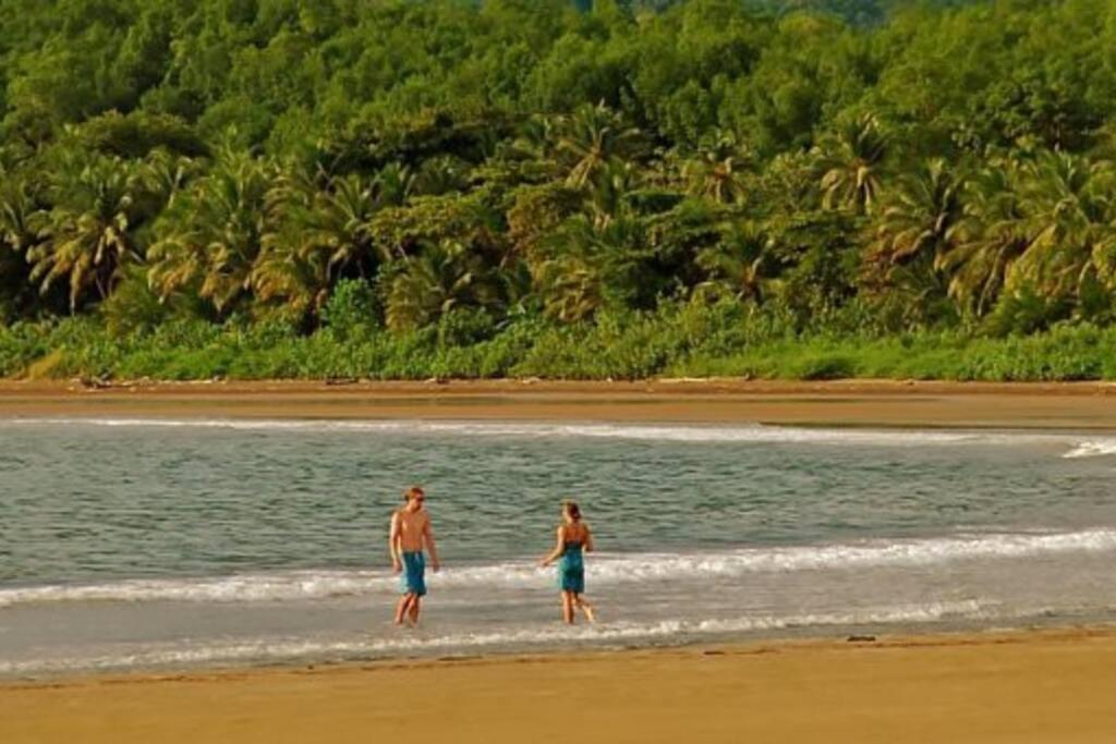 Bungalows Baobab San Isidro De El General 외부 사진